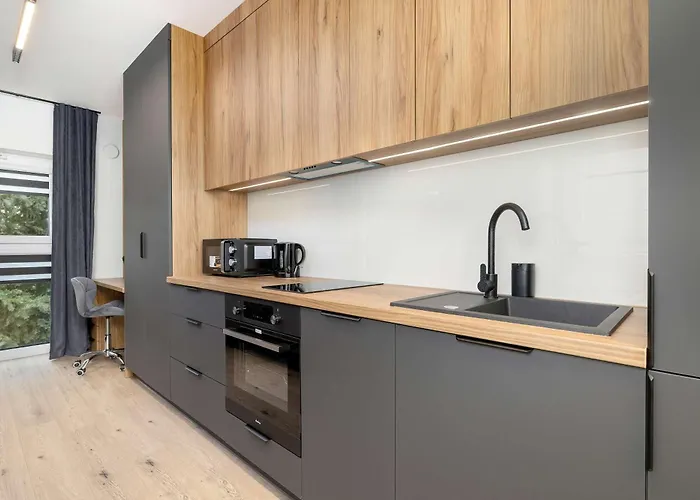 Klimatyzowane Dla Dwoch Osob Praca Zdalna By Renters Rzeszów