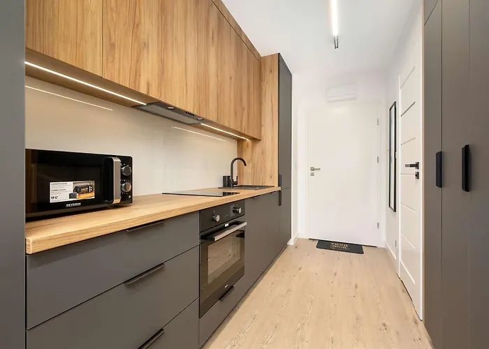 Appartement Klimatyzowane Dla Dwoch Osob Praca Zdalna By Renters Rzeszów