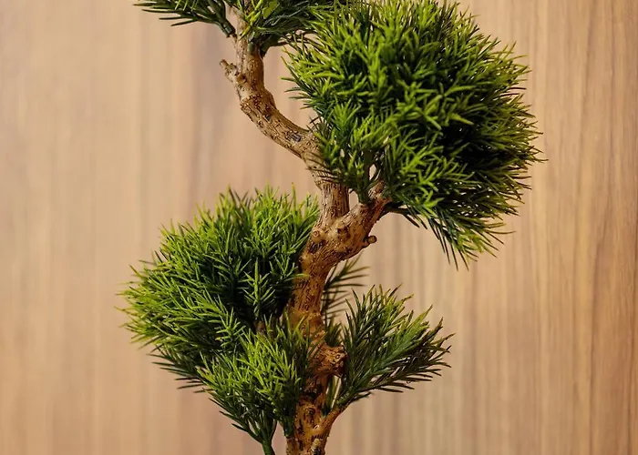 Apartmán Klimatyzowane Dla Dwoch Osob Praca Zdalna By Renters